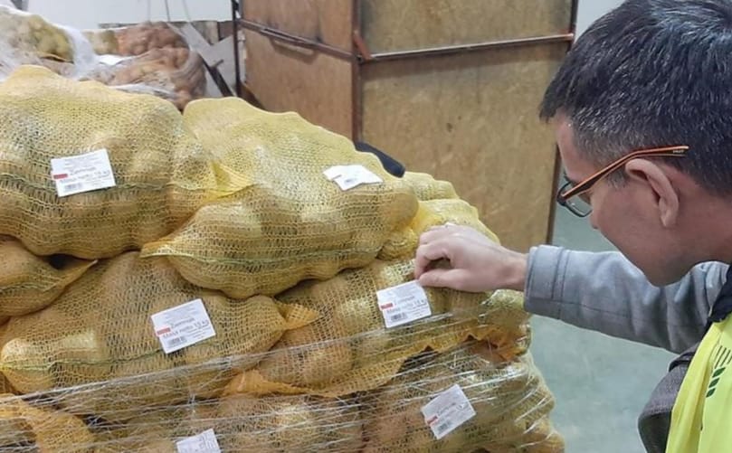 Seed potato consignments are inspected for phytosanitary compliance as countries adopt stricter biosecurity regulations and digital certification systems for international trade. Seed potato consignments are inspected for phytosanitary compliance as countries adopt stricter biosecurity regulations and digital certification systems for international trade.