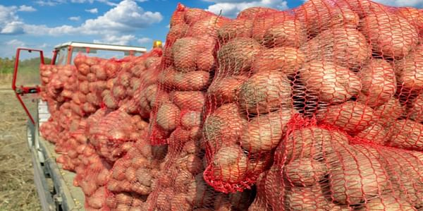 First shipments from India arrive to tame spiralling potato prices