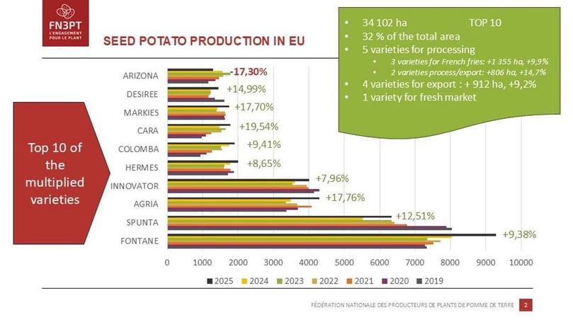 Top 10 multiplied seed potato varieties in the EU in 2025, showing year-on-year growth across multiple varieties used for processing, export, and fresh markets. Top 10 multiplied seed potato varieties in the EU in 2025, showing year-on-year growth across multiple varieties used for processing, export, and fresh markets.