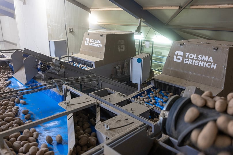 Seed potatoes move through the twin Tolsma-Grisnich Optica Q optical quality sorters, which inspect up to 30 tonnes per hour while reducing manual sorting. Seed potatoes move through the twin Tolsma-Grisnich Optica Q optical quality sorters, which inspect up to 30 tonnes per hour while reducing manual sorting.