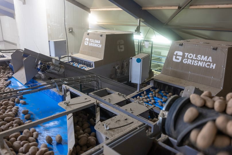 Seed potatoes move through the twin Tolsma-Grisnich Optica Q optical quality sorters, which inspect up to 30 tonnes per hour while reducing manual sorting. Seed potatoes move through the twin Tolsma-Grisnich Optica Q optical quality sorters, which inspect up to 30 tonnes per hour while reducing manual sorting.