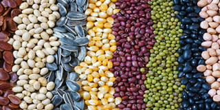 Seeds Seeds