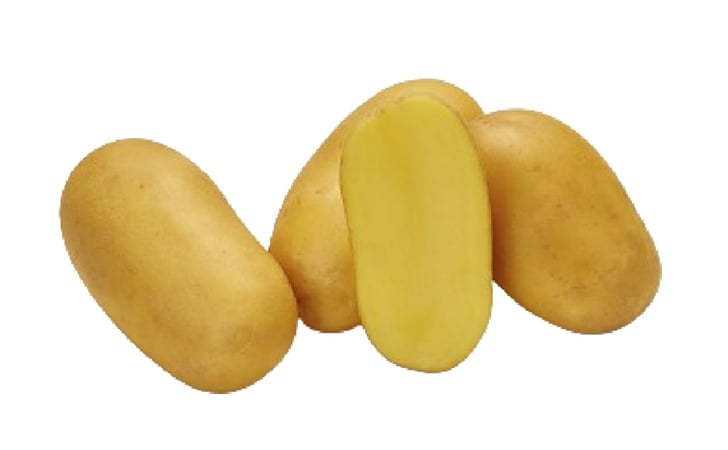 SELMA SELMA