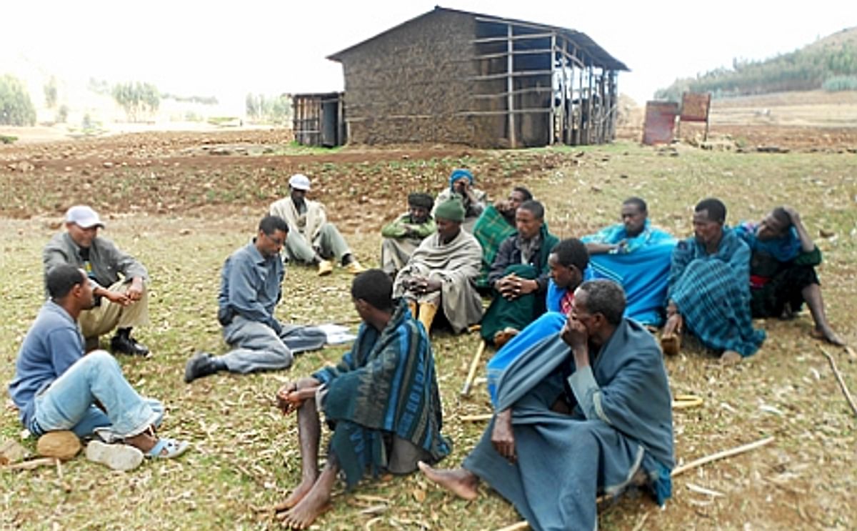 Potato may help feed Ethiopia in era of climate change