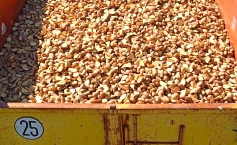 Castilla y León: Los agricultores vuelven a apostar por la patata pese a los altos costes. Castilla y León: Los agricultores vuelven a apostar por la patata pese a los altos costes.