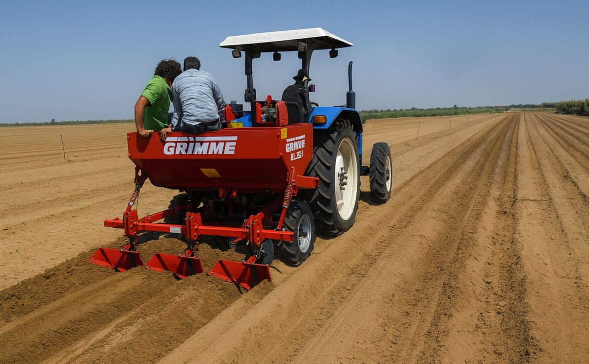 Senegal expects to produce 150,000 tons of potatoes in 2018 Senegal expects to produce 150,000 tons of potatoes in 2018