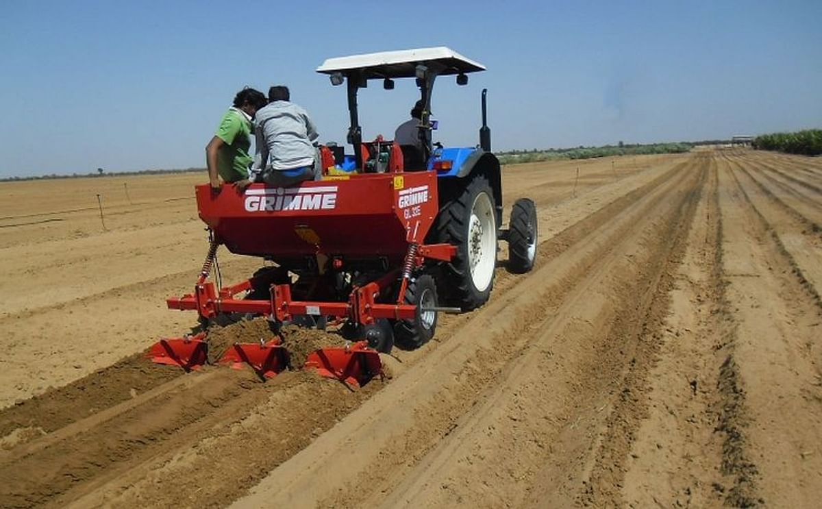 Potato Planting in Senegal.