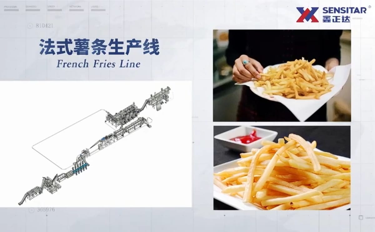  3-5 Tons French fries production line, have you ever seen this amazing line?
