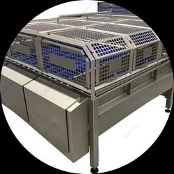 Peeled Potato Grader