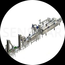 Potato Chips Processing Line