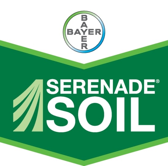 Serenade SOIL (Bayer CropScience) Serenade SOIL (Bayer CropScience)