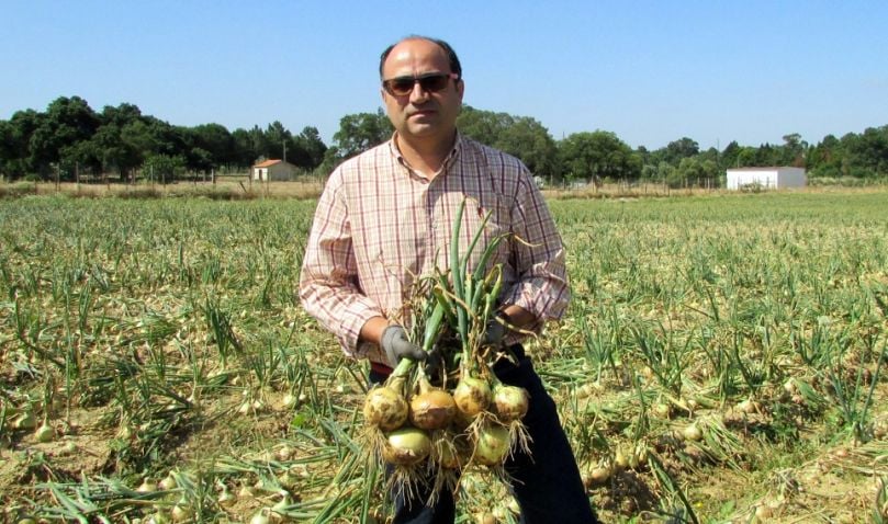 Sérgio Margaço, Director of Advice.AgriBusiness, a Portuguese company established in 2012 and active in seed potato (STET varieties), vegetable seeds and equipment to grade, clean and store potatoes, carrots, and onions. Sérgio Margaço, Director of Advice.AgriBusiness, a Portuguese company established in 2012 and active in seed potato (STET varieties), vegetable seeds and equipment to grade, clean and store potatoes, carrots, and onions.