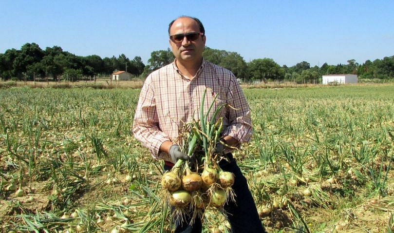 Sérgio Margaço, Director of Advice.AgriBusiness, a Portuguese company established in 2012 and active in seed potato (STET varieties), vegetable seeds and equipment to grade, clean and store potatoes, carrots, and onions.