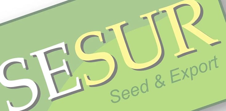Sesur Seed and Export Sesur Seed and Export