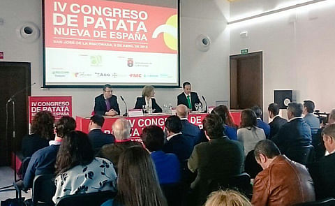España: La papa necesita un consumidor activo para evitar el fraude España: La papa necesita un consumidor activo para evitar el fraude