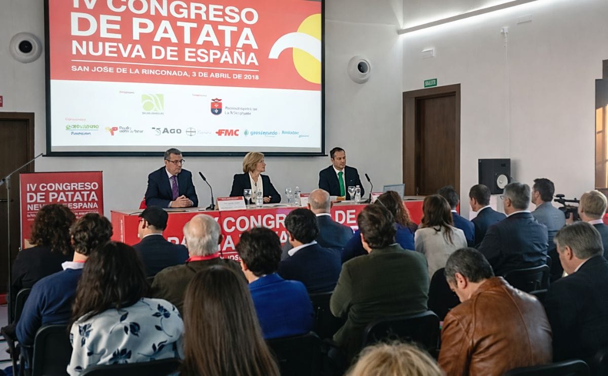 España: La papa necesita un consumidor activo para evitar el fraude