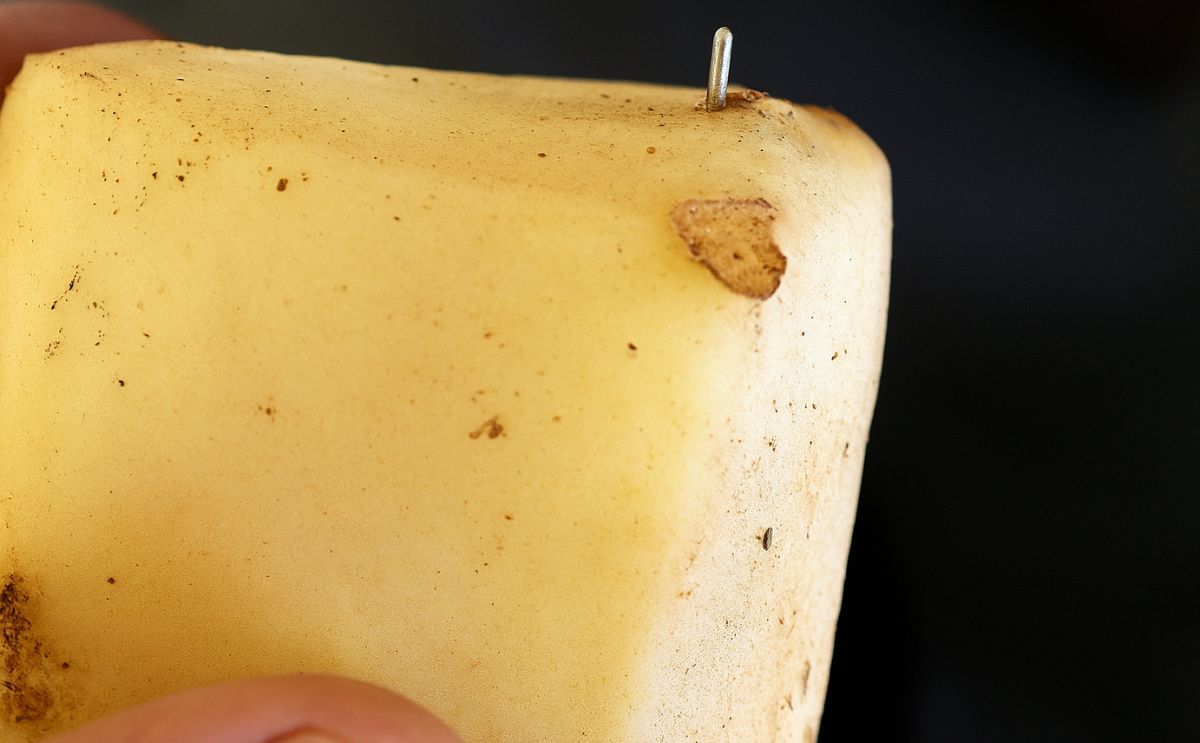 Prince Edward Island Potato tampering investigation ongoing