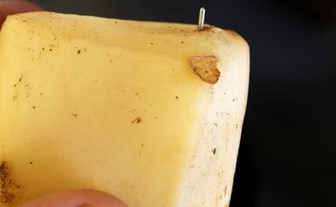 Prince Edward Island Potato tampering investigation ongoing Prince Edward Island Potato tampering investigation ongoing