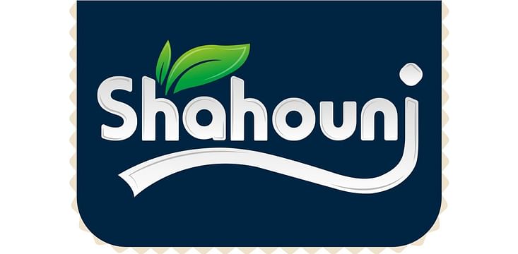 Shayan Hoor Nikan Company