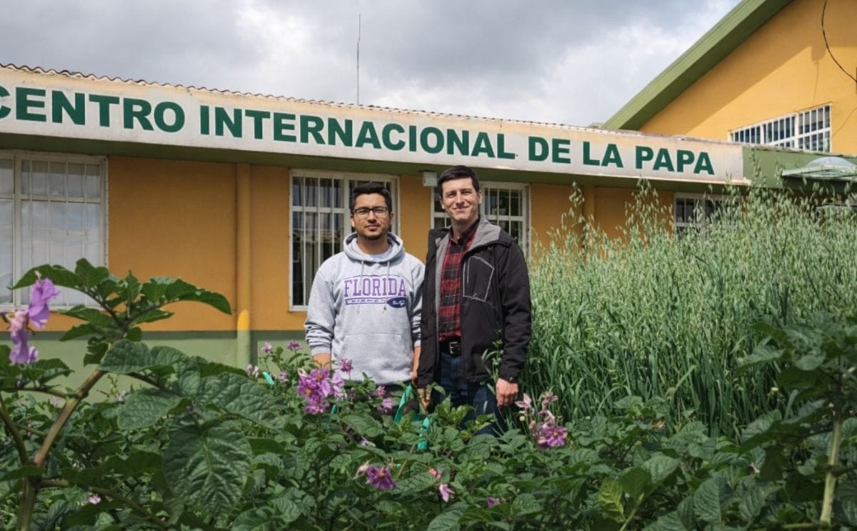 Understanding the threat of late blight under climate change, from Ecuador to Nepal