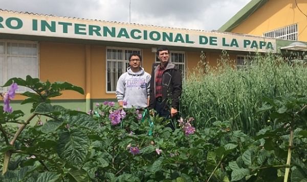 Understanding the threat of late blight under climate change, from Ecuador to Nepal