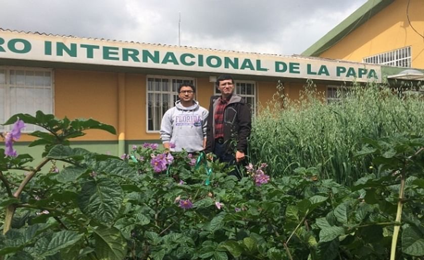 Understanding the threat of late blight under climate change, from Ecuador to Nepal