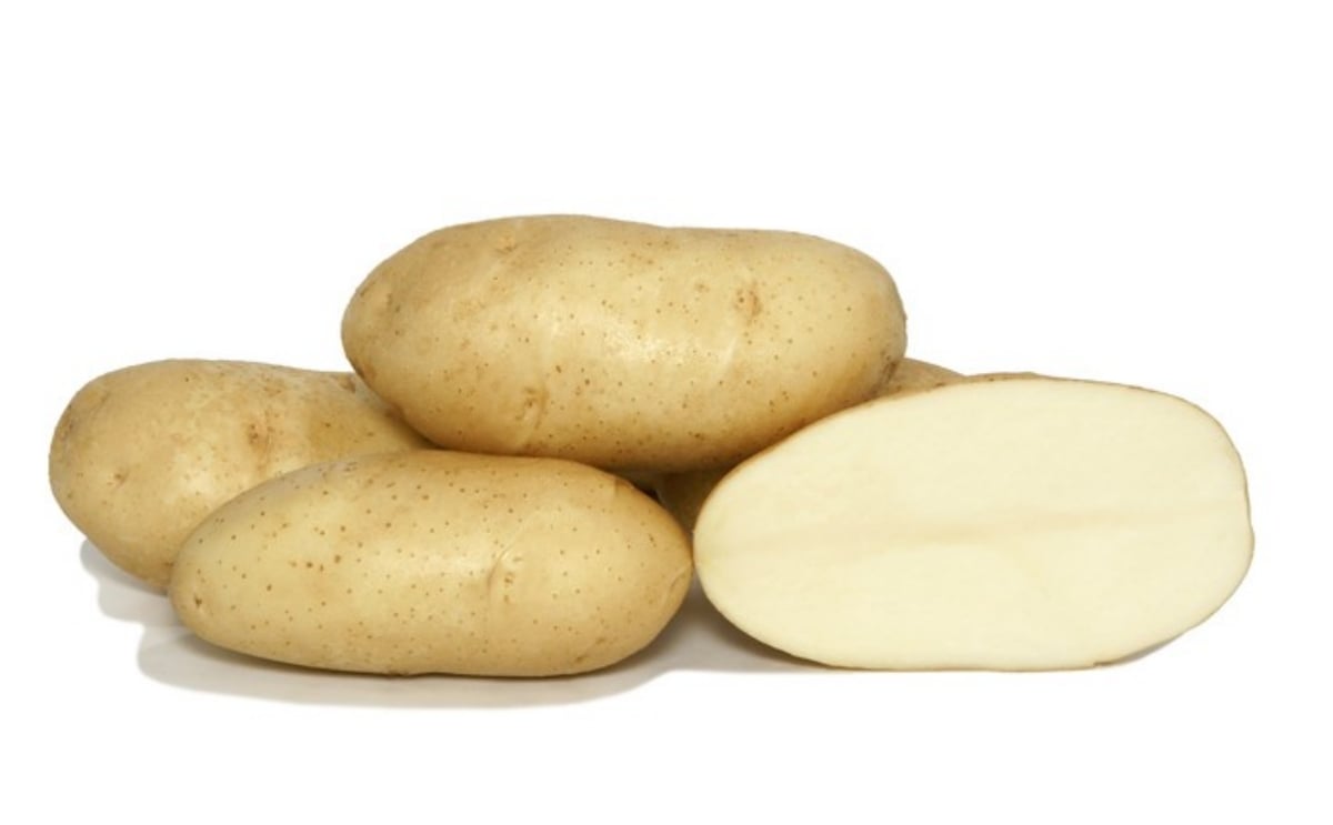 Shepody