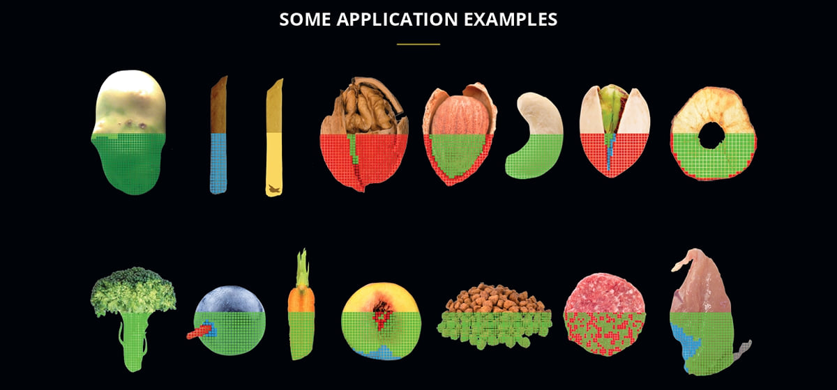 Insort Sherlock Food Analyser Some Application Examples Insort Sherlock Food Analyser Some Application Examples