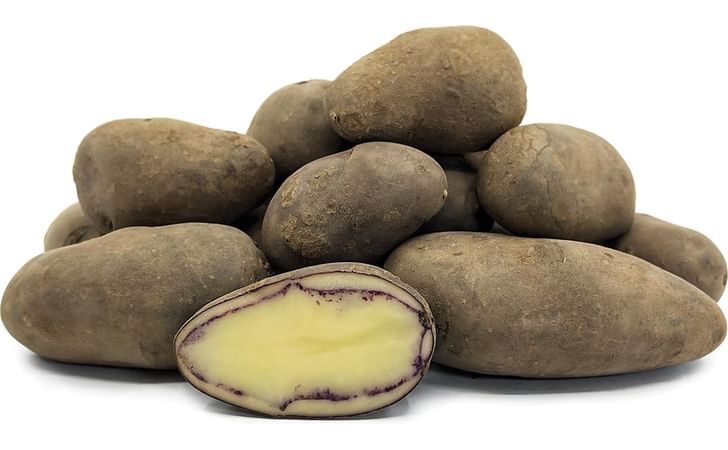 SHETLAND BLACK SHETLAND BLACK