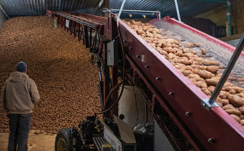 Canada will mostly be shipping russet potatoes to Mexico. (Courtesy:CBC) Canada will mostly be shipping russet potatoes to Mexico. (Courtesy:CBC)