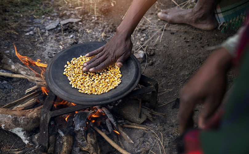 Roasting of Seeds: Flavor Development, Digestibility and Shelf-Life Enhancement Roasting of Seeds: Flavor Development, Digestibility and Shelf-Life Enhancement