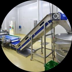 IQF-Material Handling System