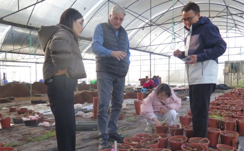 Selecting clones from hybrid crosses in the Chengdu Plains greenhouse Selecting clones from hybrid crosses in the Chengdu Plains greenhouse