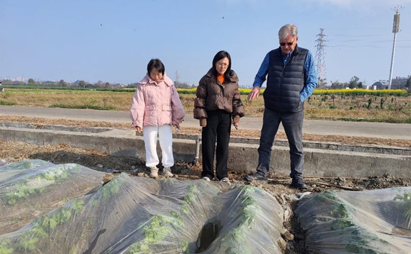 Winter potato cultivation in the lowland Chengdu plains at 500 masl. Winter potato cultivation in the lowland Chengdu plains at 500 masl.