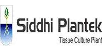 Siddhi plantek plant tissue culture