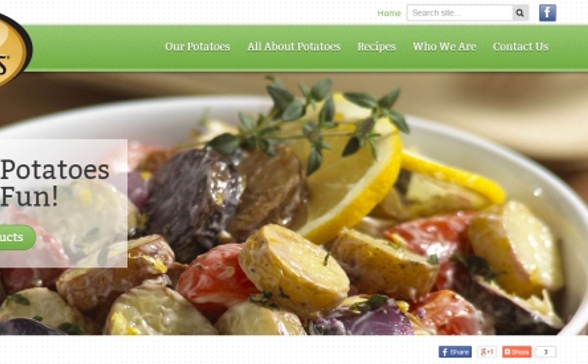 Side Delight website Side Delight website