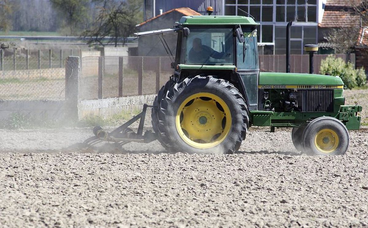 A Limia inicia la siembra del cereal y patata en pleno estado de alarma A Limia inicia la siembra del cereal y patata en pleno estado de alarma
