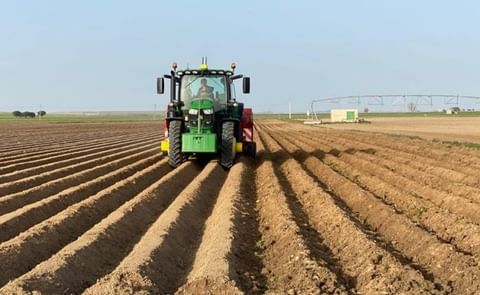 Europa: discusión sobre el libre tránsito de patatas de siembra Europa: discusión sobre el libre tránsito de patatas de siembra