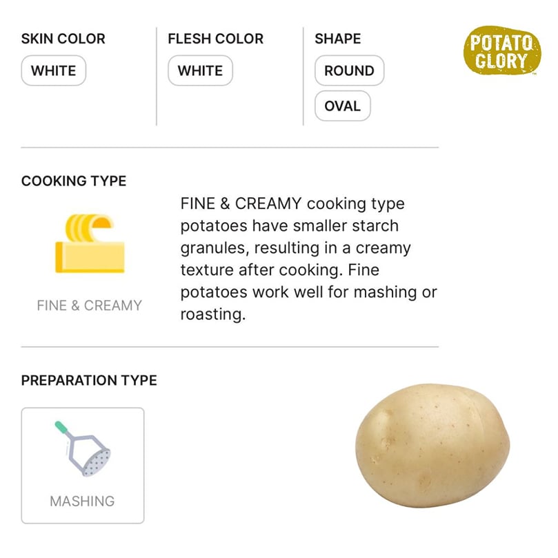 Sifra Potato Variety Brochure Sifra Potato Variety Brochure