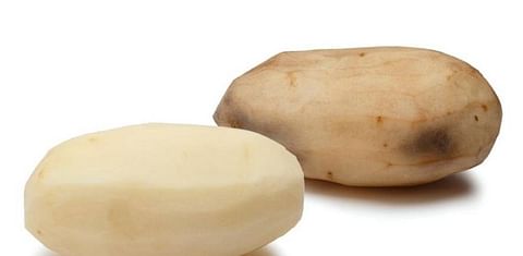 US government approved 3 more Simplot GMO potato types for cultivation and sale