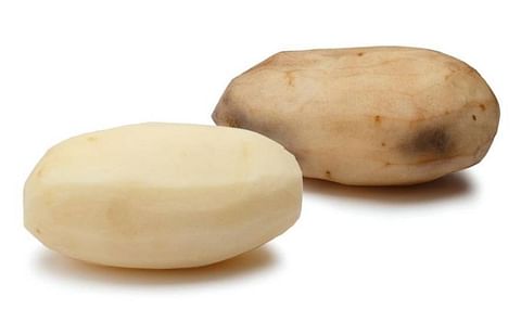 Approval of three second generation Innate potato varieties by the US Environmental Protection Agency and the Food and Drug Administration means Simplot is free to plant the potatoes this spring and sell them in the fall (Courtesy: Simplot).