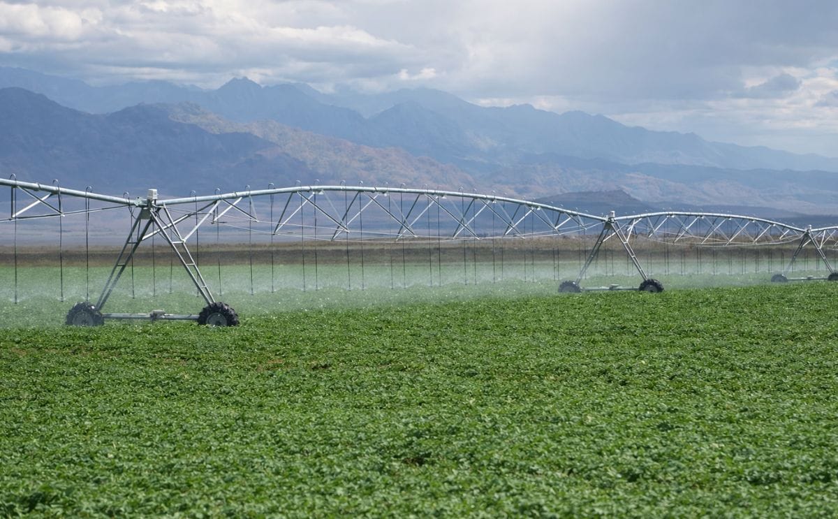 Simplot Mendoza Simplot invierte 100 millones de dólares para producir papas fritas en ...