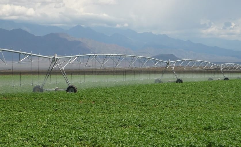 Simplot invierte 100 millones de dólares para producir papas fritas en ...