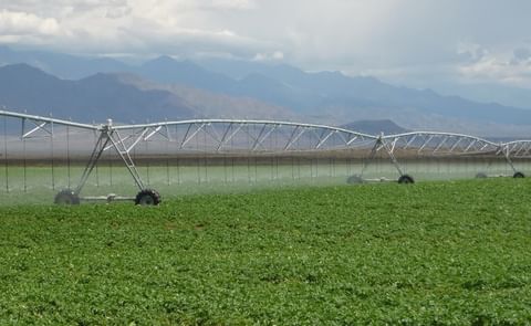 Simplot invierte 100 millones de dólares para producir papas fritas en Argentina Simplot invierte 100 millones de dólares para producir papas fritas en Argentina