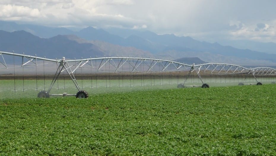 Simplot invierte 100 millones de dólares para producir papas fritas en Argentina