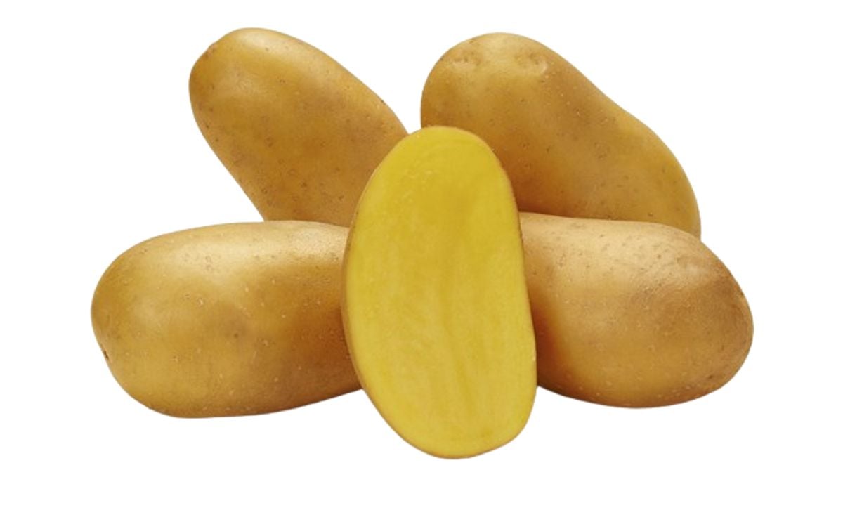 SISSI SISSI