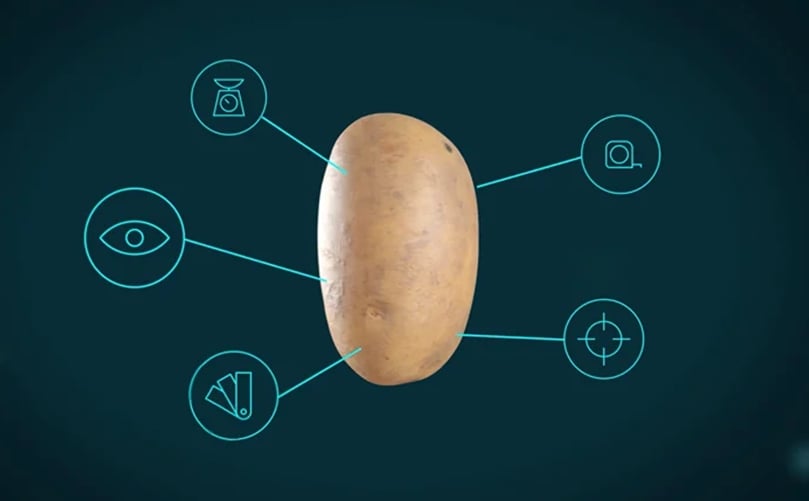 Maximize your harvest value with AI potato grading Maximize your harvest value with AI potato grading