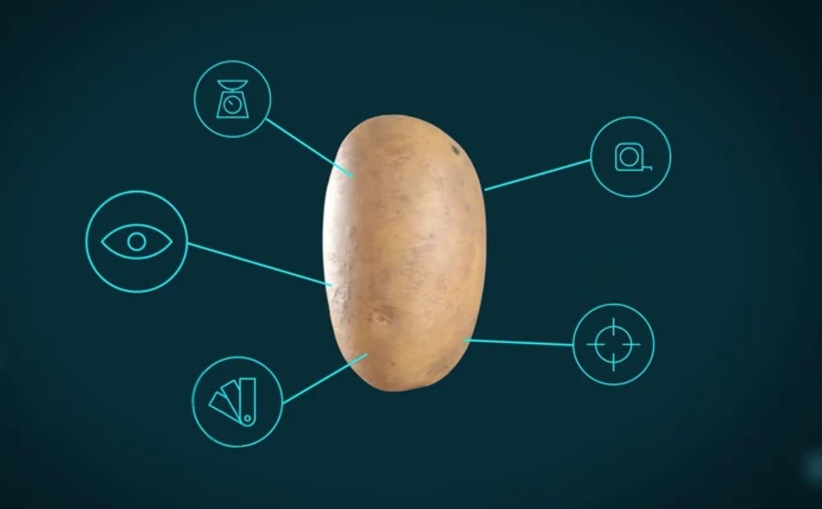 Control size, shape, color, with Ellips AI tool Control size, shape, color, with Ellips AI tool