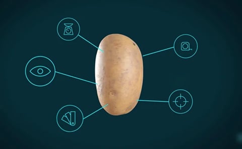 Control size, shape, color, with Ellips AI tool Control size, shape, color, with Ellips AI tool