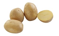SK Agri Exports, Colomba potato variety